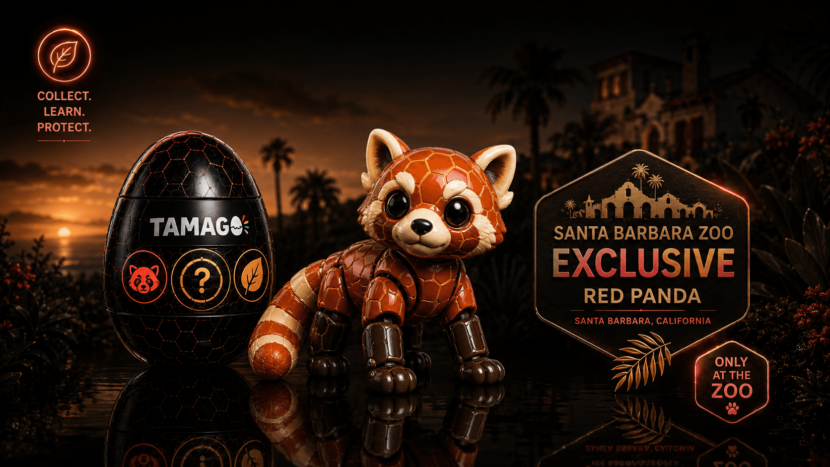 Santa Barbara Zoo exclusive — Red Panda