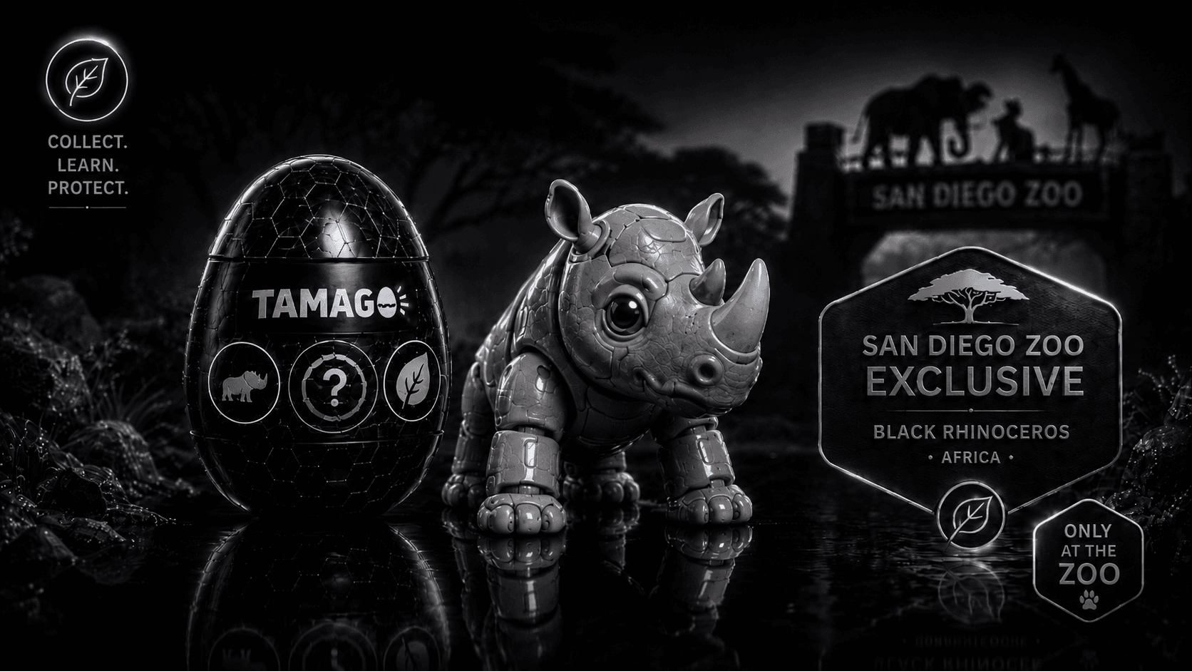 San Diego Zoo exclusive — Black Rhinoceros